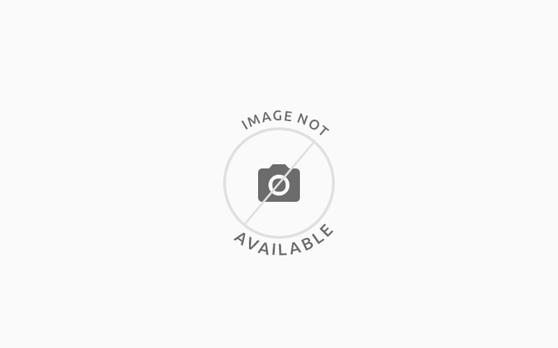 پسته با بهترین کیفیت